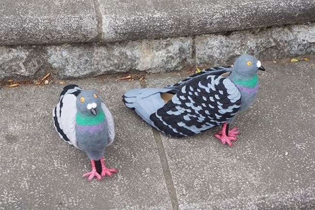 birds wearing shoes