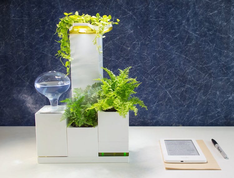 Indoor Garden LeGrow Stackable Planter Boxes Winmart Design