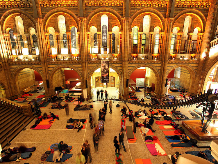 Museum Sleepovers Natural History Museum London Sleep at a Museum