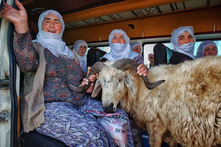 nadir bucan photojournalism van turkey