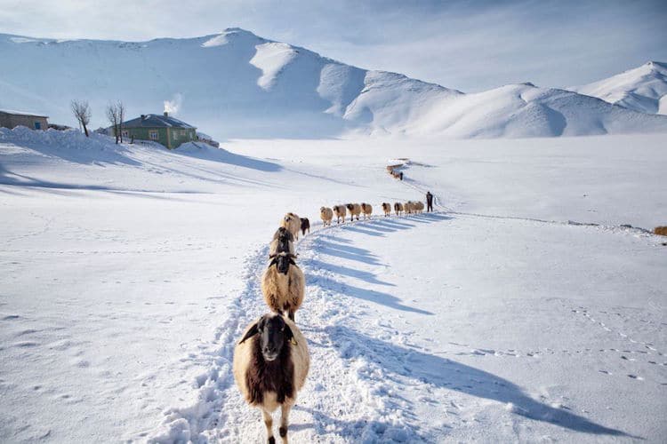 nadir bucan documentary photography van turkey