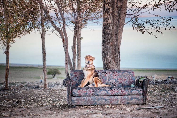 nadir bucan documentary photography van turkey