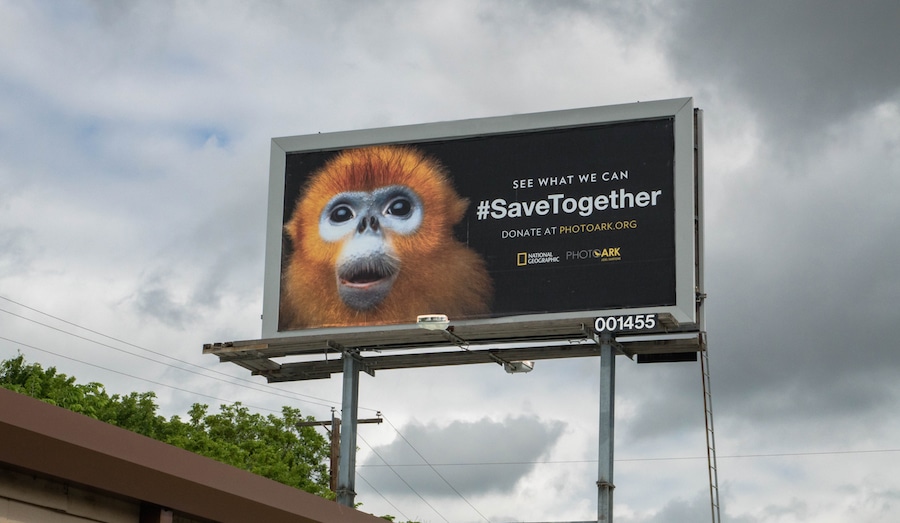 National Geographic Photos Photo Ark Endangered Species Day SaveTogether