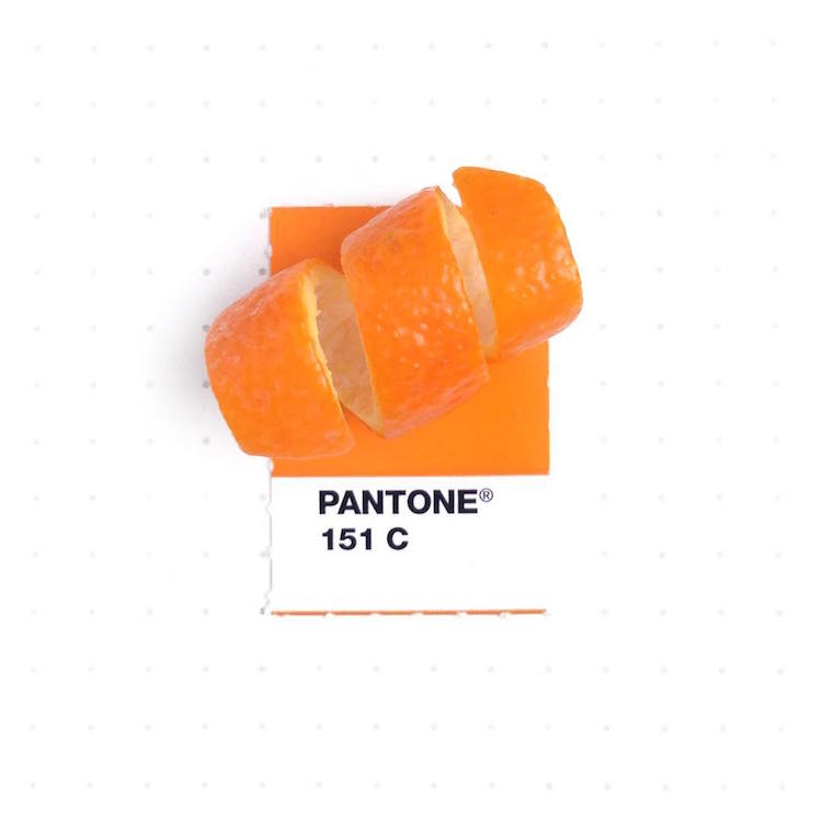 Pantone Color Match Pantone Colors Pantone Book Tiny PMS Match Inka Mathew