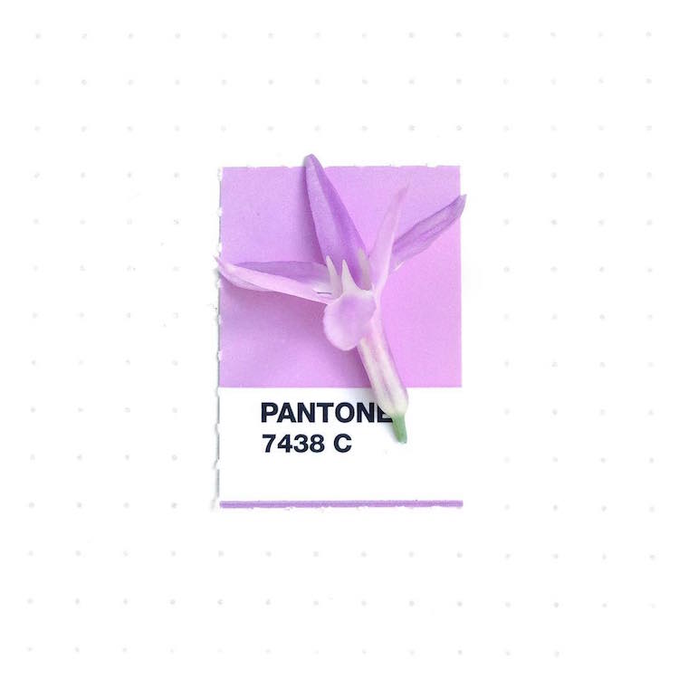 Pantone Color Match Pantone Colors Pantone Book Tiny PMS Match Inka Mathew