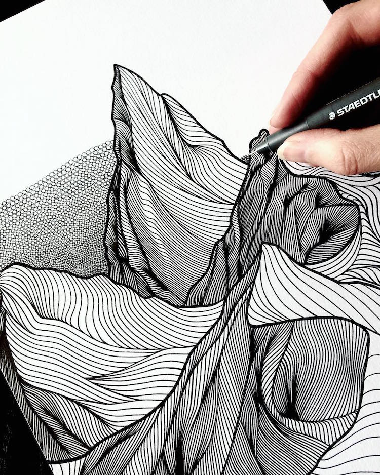 The Art of Line Pencil Drawing: A Beginner's Guide