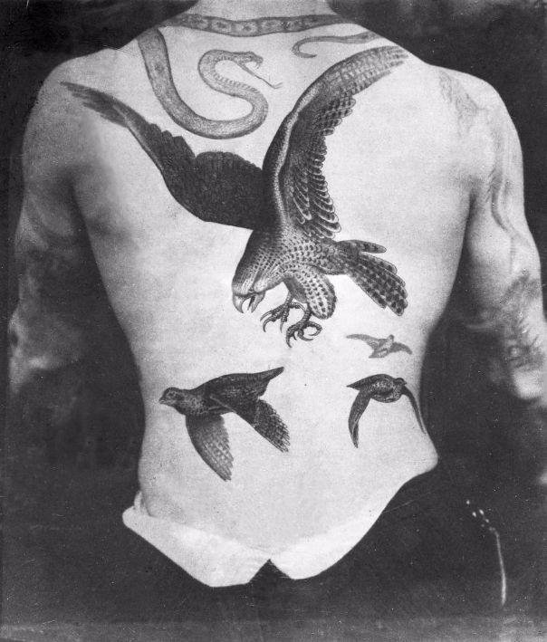 Sutherland Macdonald History of Tattooing