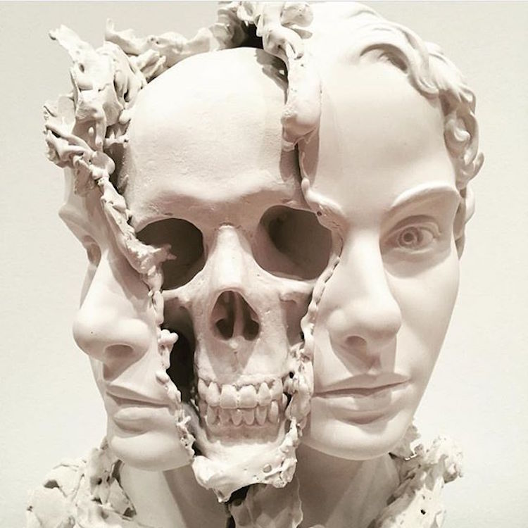 Skull Art Surreal Sculpture Taiji Taomote