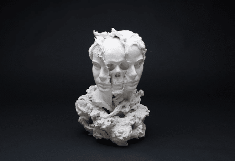 Skull Art Surreal Sculpture Taiji Taomote