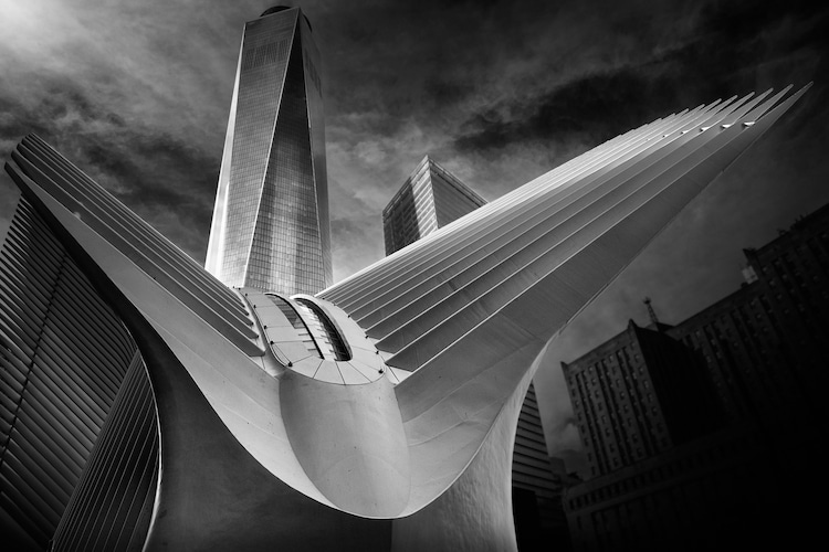 alessio forlano black and white architecture photography