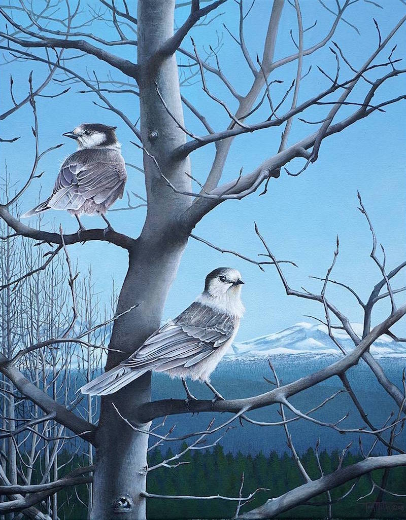 Tom Mital Wildlife Art Bird Painting