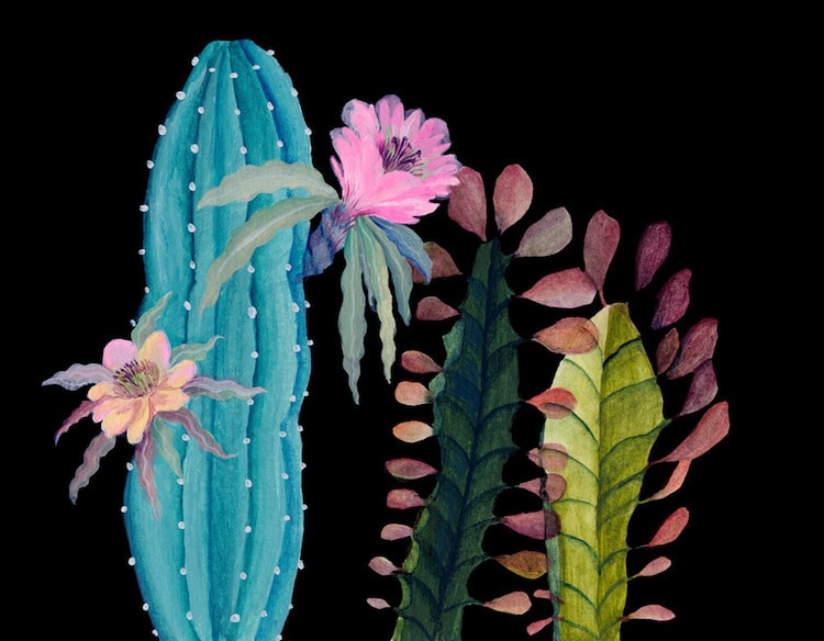 Botanical Illustration Houseplants Paintings Laura Garcia Serventi