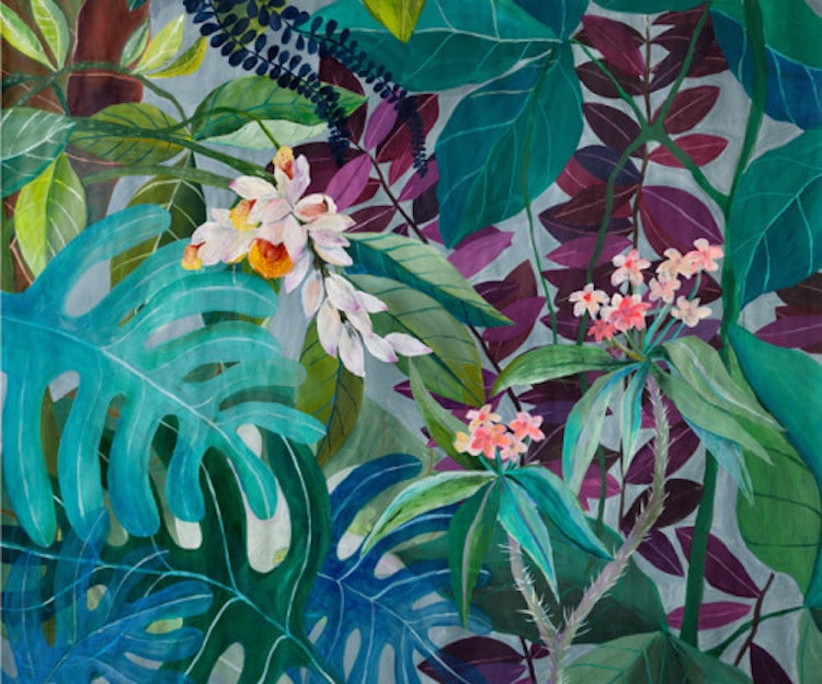 Botanical Illustration House Plants Paintings Laura Garcia Serventi