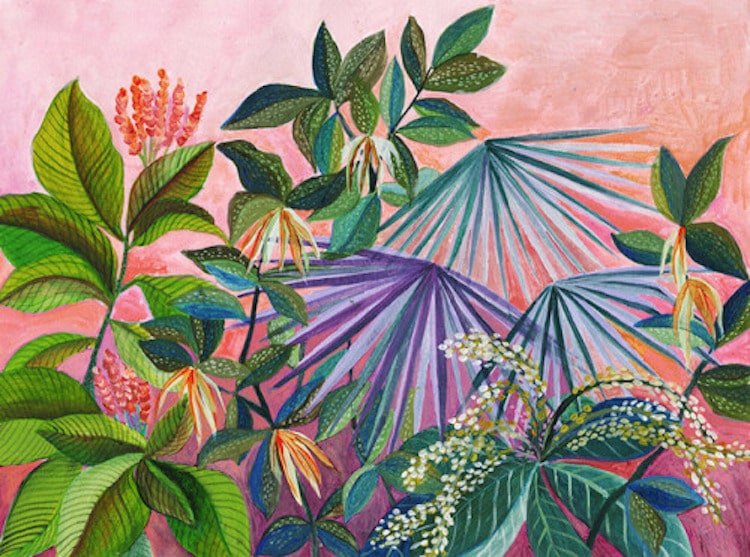 Botanical Illustration Houseplants Paintings Laura Garcia Serventi