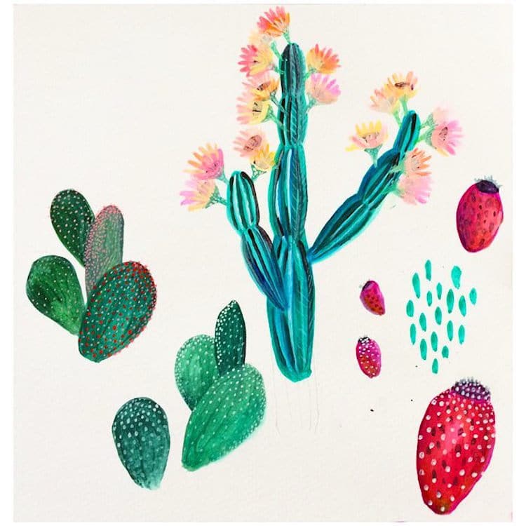 Botanical Illustration Houseplants Paintings Laura Garcia Serventi