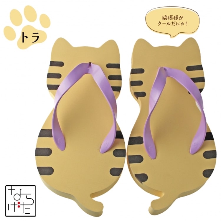 cat flip flops