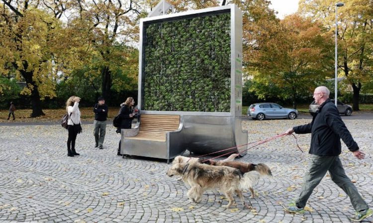 Urban Tree Helps Air Quality