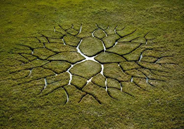 Download Stunning Land Art Glows From The Ground Like An Alien Life Form