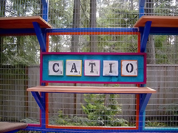 Build Your Own Catio 