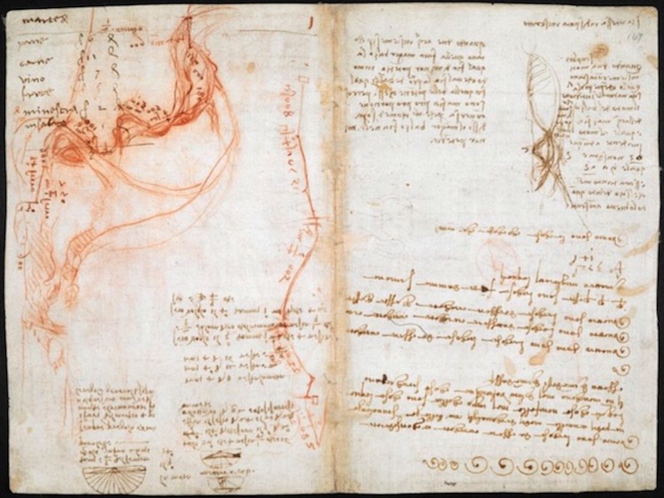 da vinci notebook online codex arundel