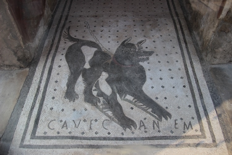Cave Canem mosaic of dog in art