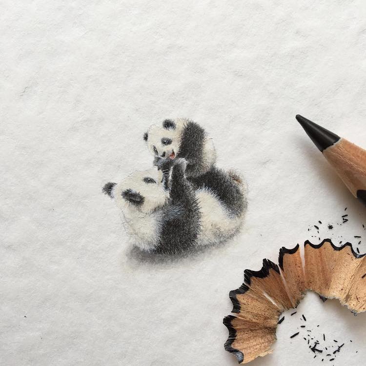 Miniature Paintings Animal Drawings Tiny Creatures Irene Malakova
