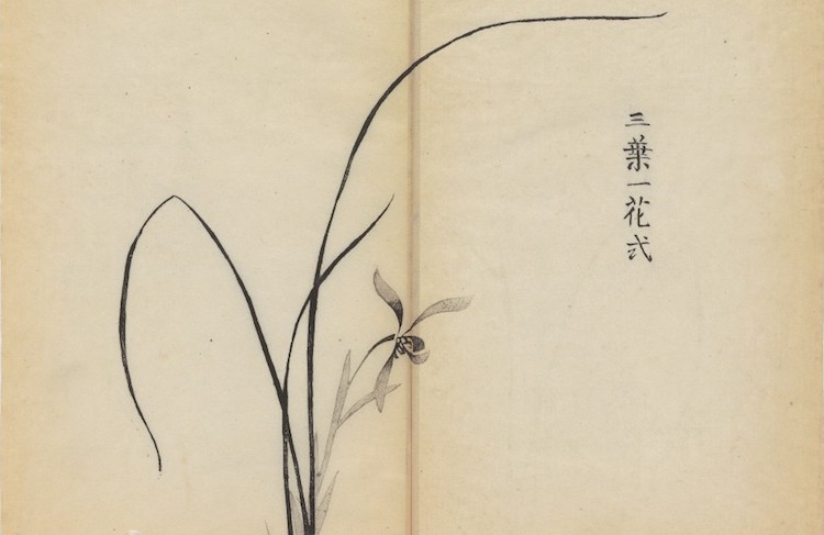 Hu Zhengyan - Ten Bamboo Studio collection of calligraphy and painting