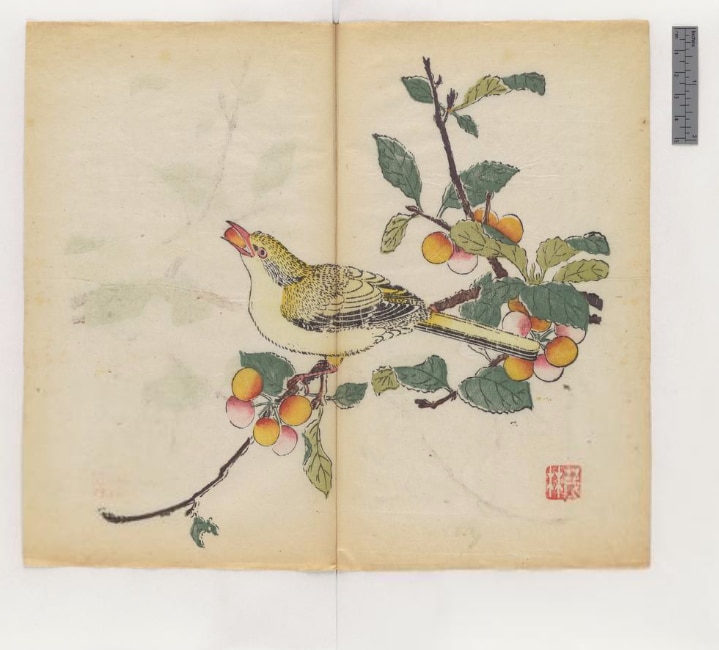 Oldest Book MultiColor - Manual for Painting and Calligraphy