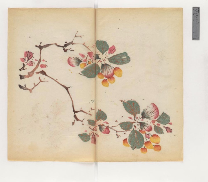 Oldest Book MultiColor - Manual for Painting and Calligraphy