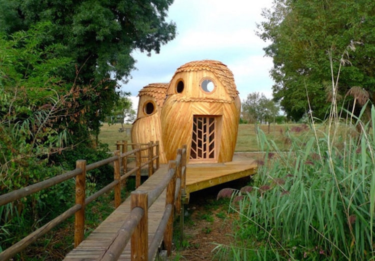 Owl Cabin Animal Architecture Rural France Zebra3