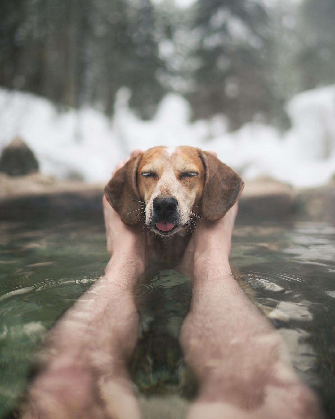 Candid Family Photos by Theron Humphrey and His Dog Maddie