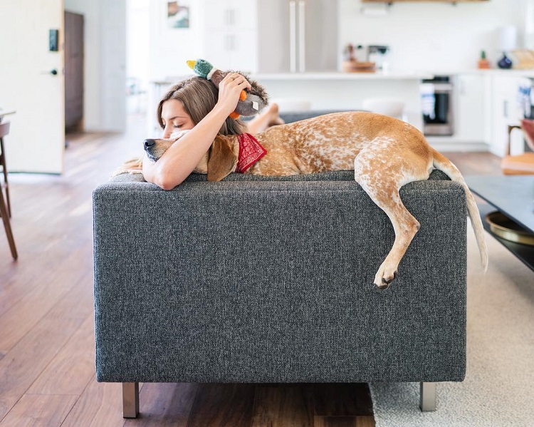 Family Photos by Theron Humphrey and His Dog Maddie