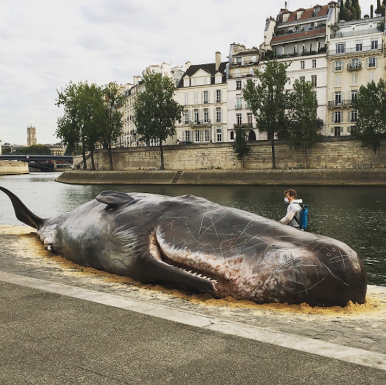 art about beached whales