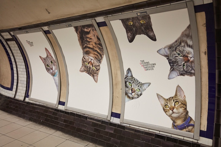 Cat Advertising Cats in Art History