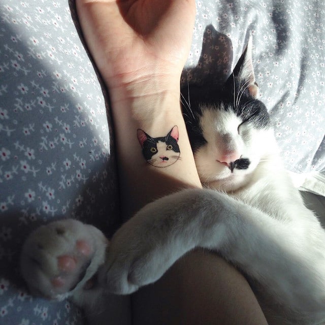 Cat Tattoos Contemporary Art History