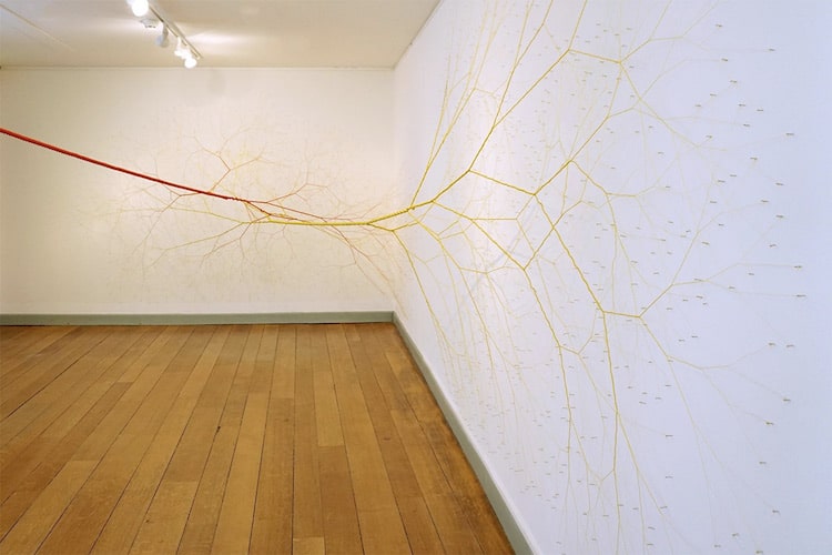 Rope Art Tree Installation Ciclotrama Series Janaina Mello Landini