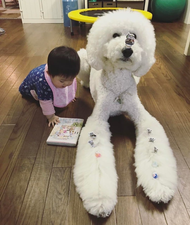 Adorable Kids and Pets