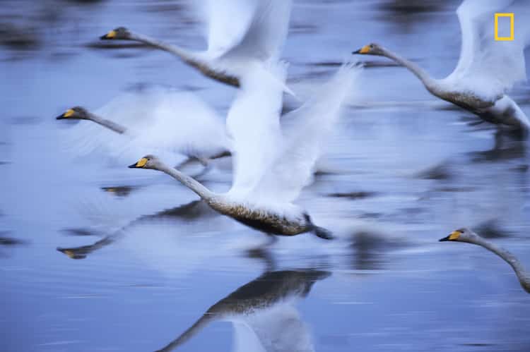 National Geographic Travel Photographer Contest Winners