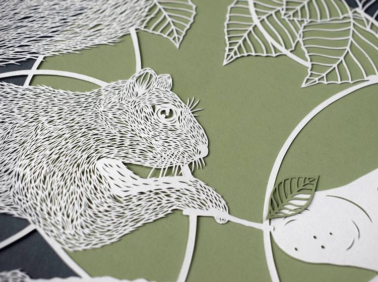  Cut  Out  Series Captures Intricate Details Possible With 