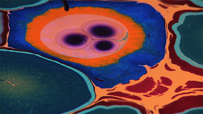 30 Dazzling Works Of Resin Art That Capture The Material s Versatility 