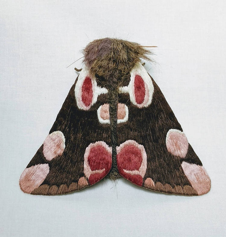 Textile Moths by Yumi Okita