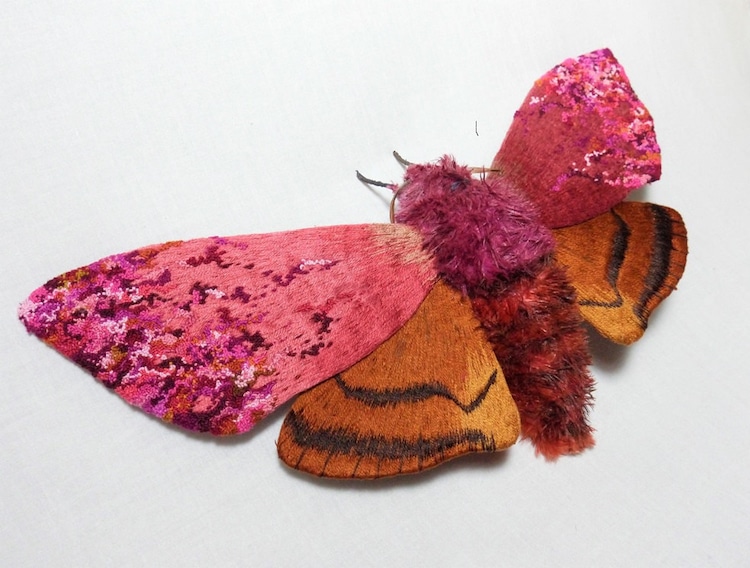 Textile Moths by Yumi Okita