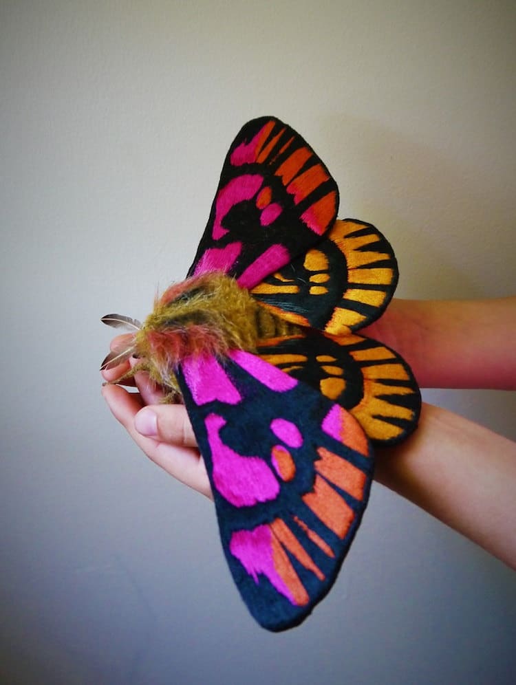 Textile Moths by Yumi Okita