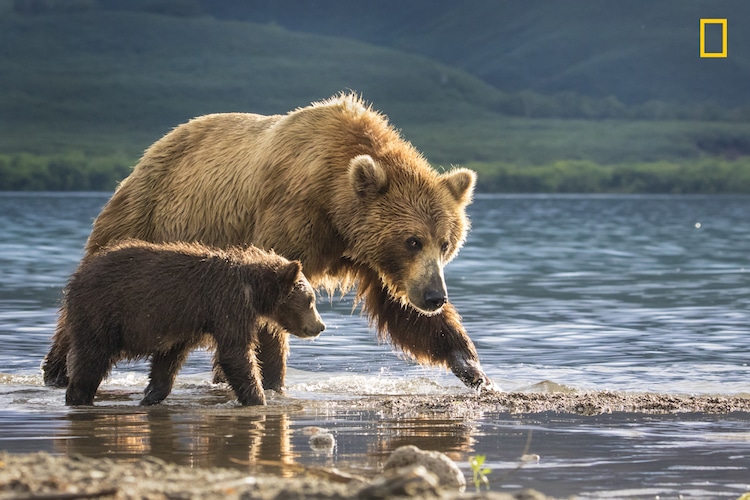 National Geographic Nature Photographer of the Year 2017 Early Entries