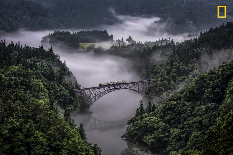 National Geographic Nature Photographer of the Year 2017 Early Entries