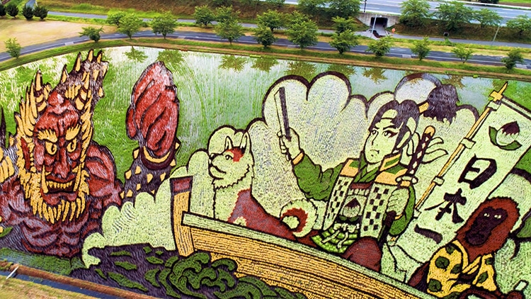 Japanese Rice Paddy Art