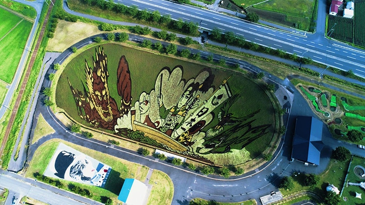 Japanese Rice Paddy Art