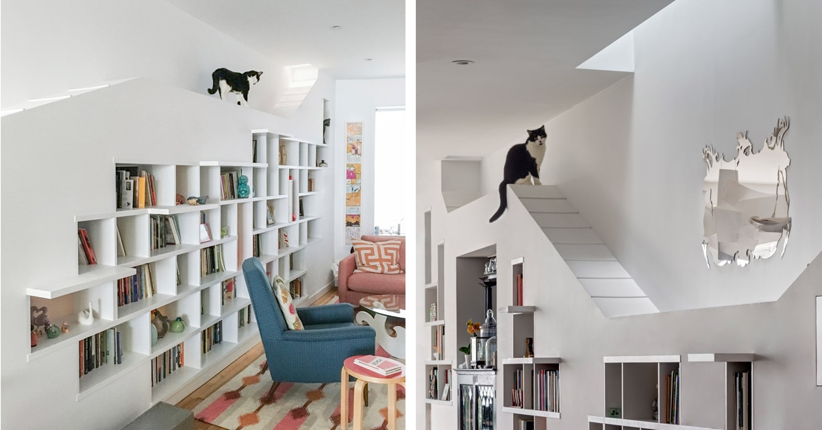 Architects Create a Brooklyn Abode That Doubles as Fantastic Cat House