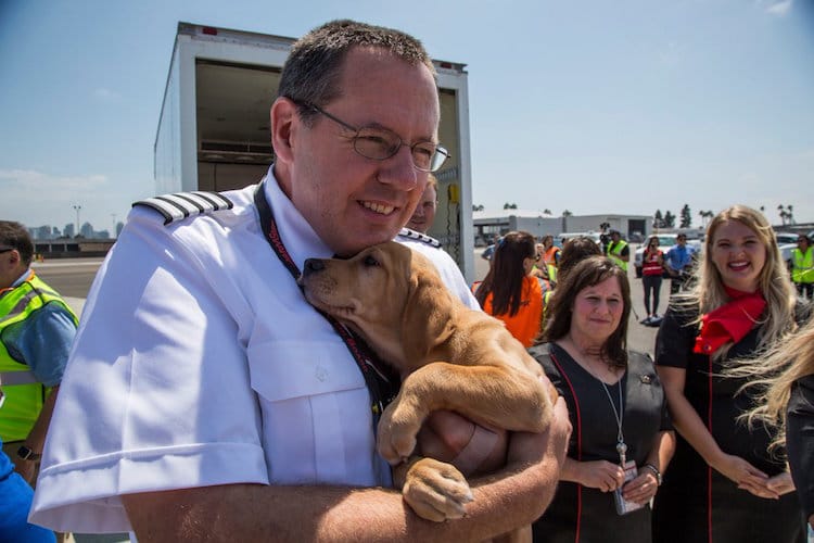 Southwest Airlines Shelter Animals Hurricane Harvey Helen Woodward Animal Shelter 