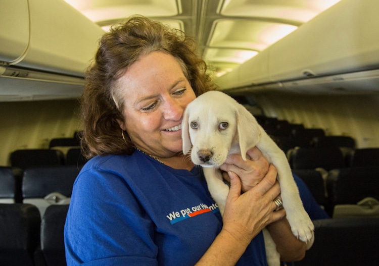 Southwest Airlines Shelter Animals Hurricane Harvey Helen Woodward Animal Shelter 